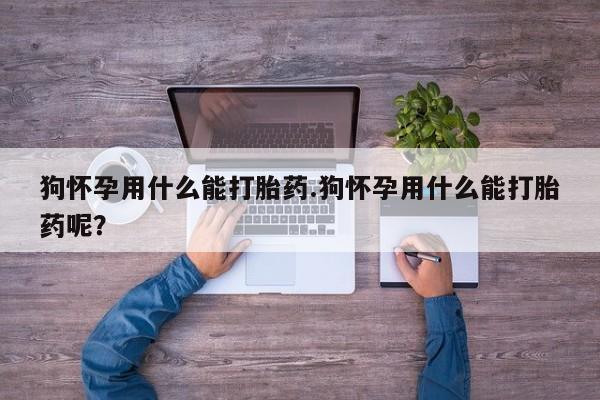 正品堕胎药咨询购买狗怀孕用什么能打胎药.狗怀孕用什么能打胎药呢？