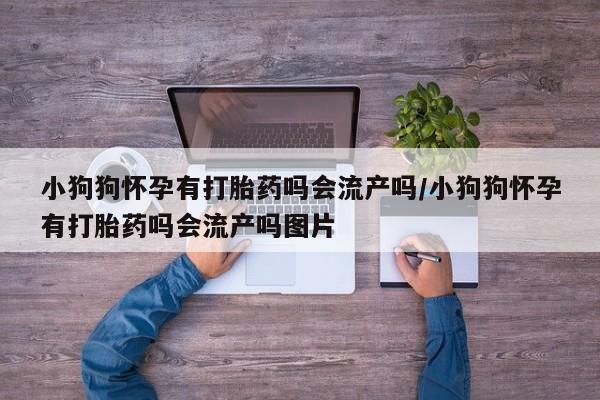 正品堕胎药咨询购买小狗狗怀孕有打胎药吗会流产吗/小狗狗怀孕有打胎药吗会流产吗图片