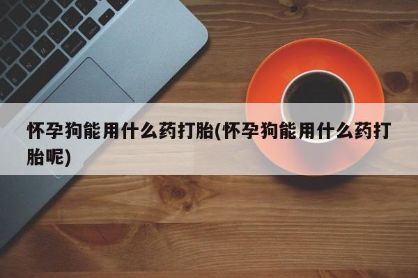 正品堕胎药咨询购买怀孕狗能用什么药打胎(怀孕狗能用什么药打胎呢)