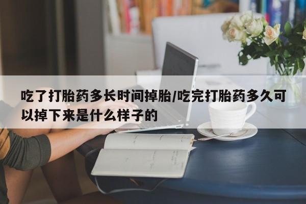 正品堕胎药咨询购买吃了打胎药多长时间掉胎/吃完打胎药多久可以掉下来是什么样子的